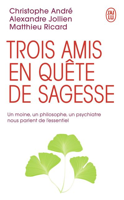 3 amis en quête de sagesse